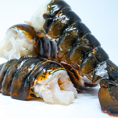 crustacean