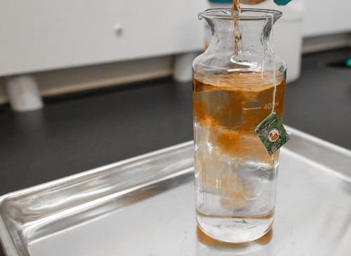 Theanine (client supplied method)