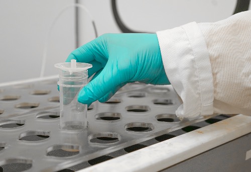 Astaxanthin Assay (esterified) (FCC 9th Monograph)